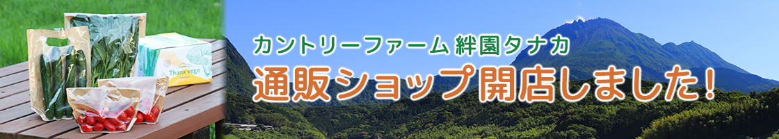 通販ショップバナー