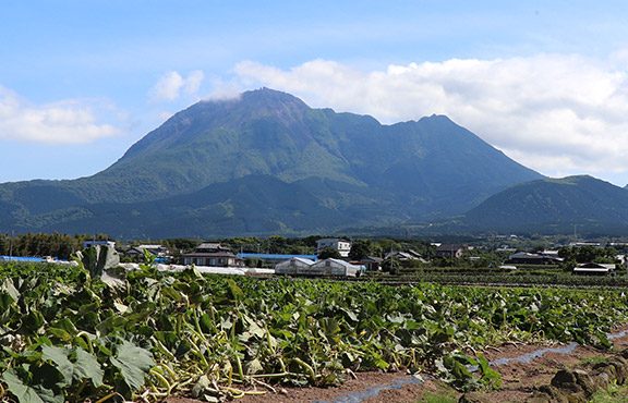 雲仙普賢岳の画像