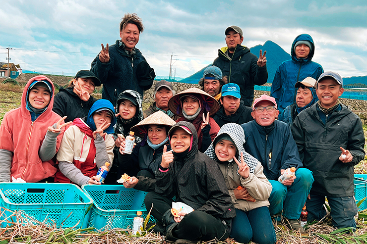 とうもろこし収穫