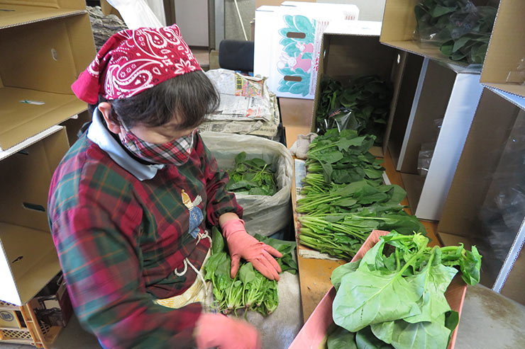 検品・袋詰めスタッフ