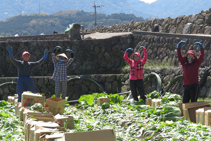 農作業スタッフ