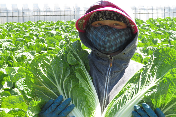 農作業スタッフ