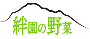 取り扱い野菜の紹介